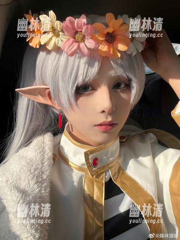 星穹铁道见真章:腥味猫罐的神奇原图与图册遭遇混战! 星穹铁道见真章:腥味猫罐的神奇原图与图册遭遇混战!